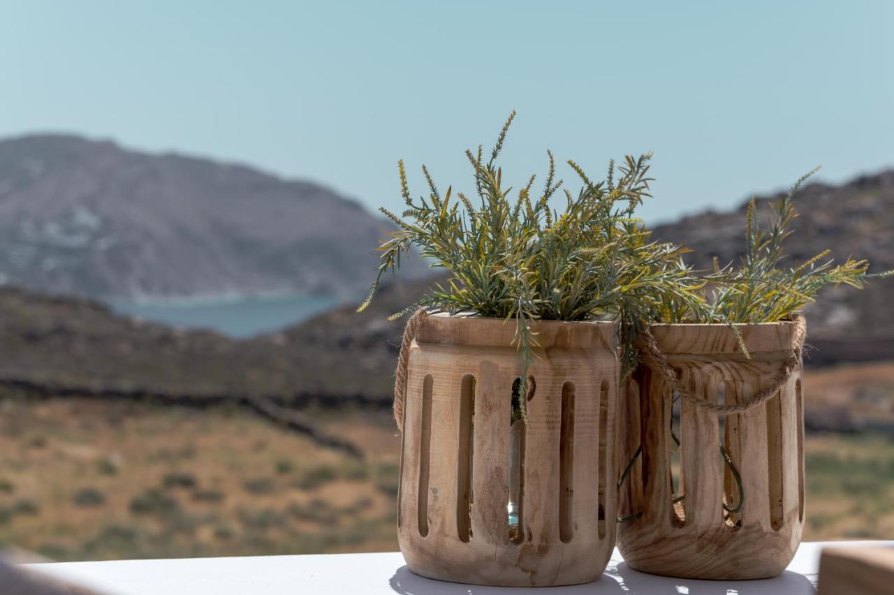 Anemela Villas & Suites Mykonos Agrari  Bagian luar foto